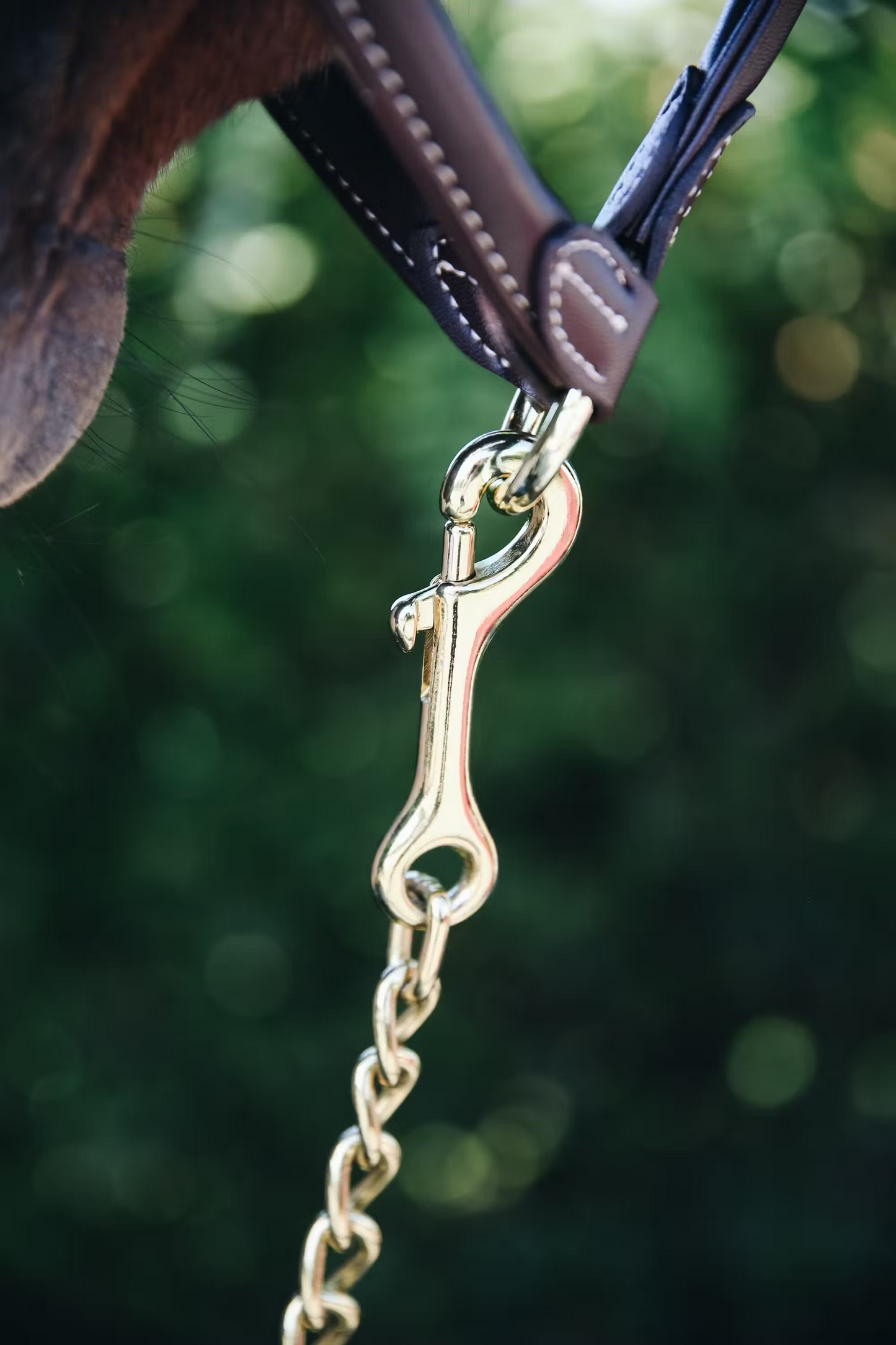 Kentucky Stallion Chain 60cm