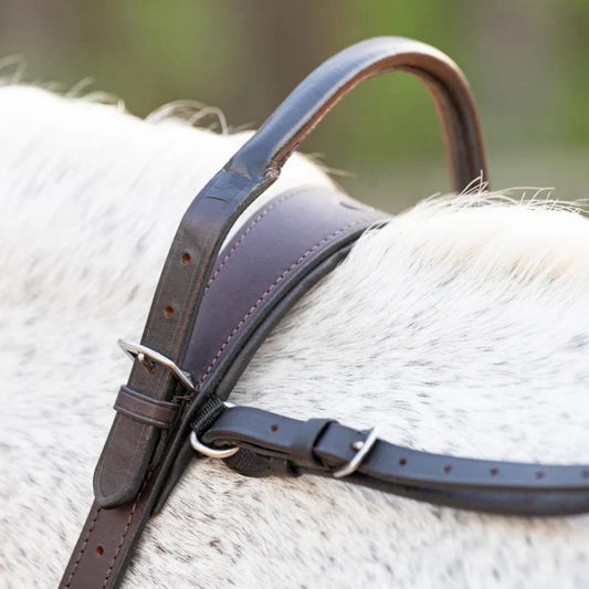 Correct Connect Double Neck Strap