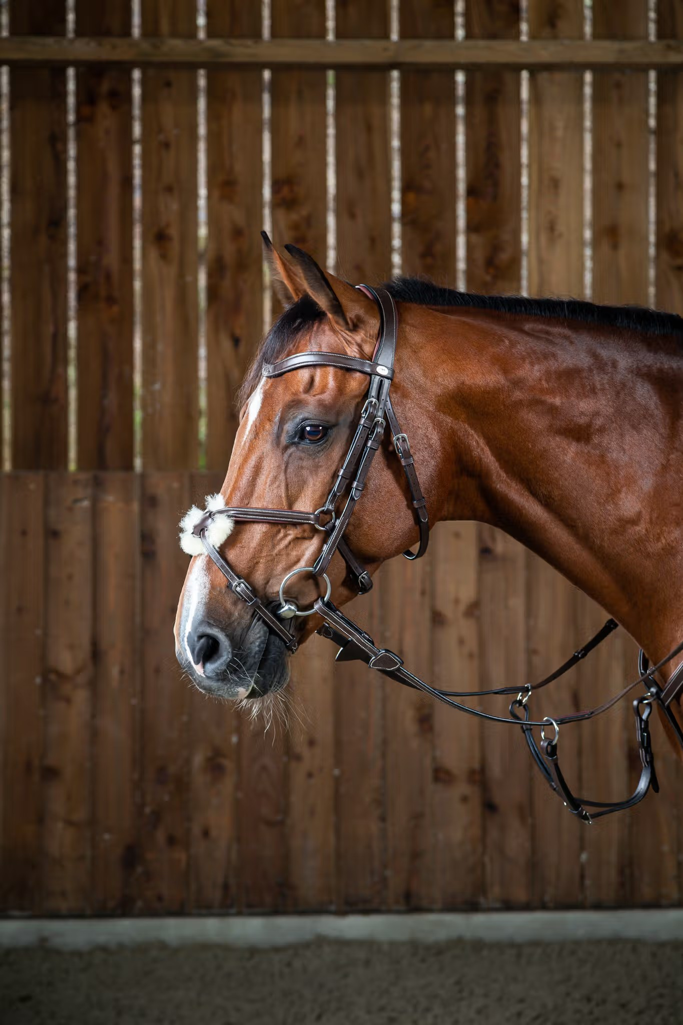 Working by Dy'on Figure 8 Bridle