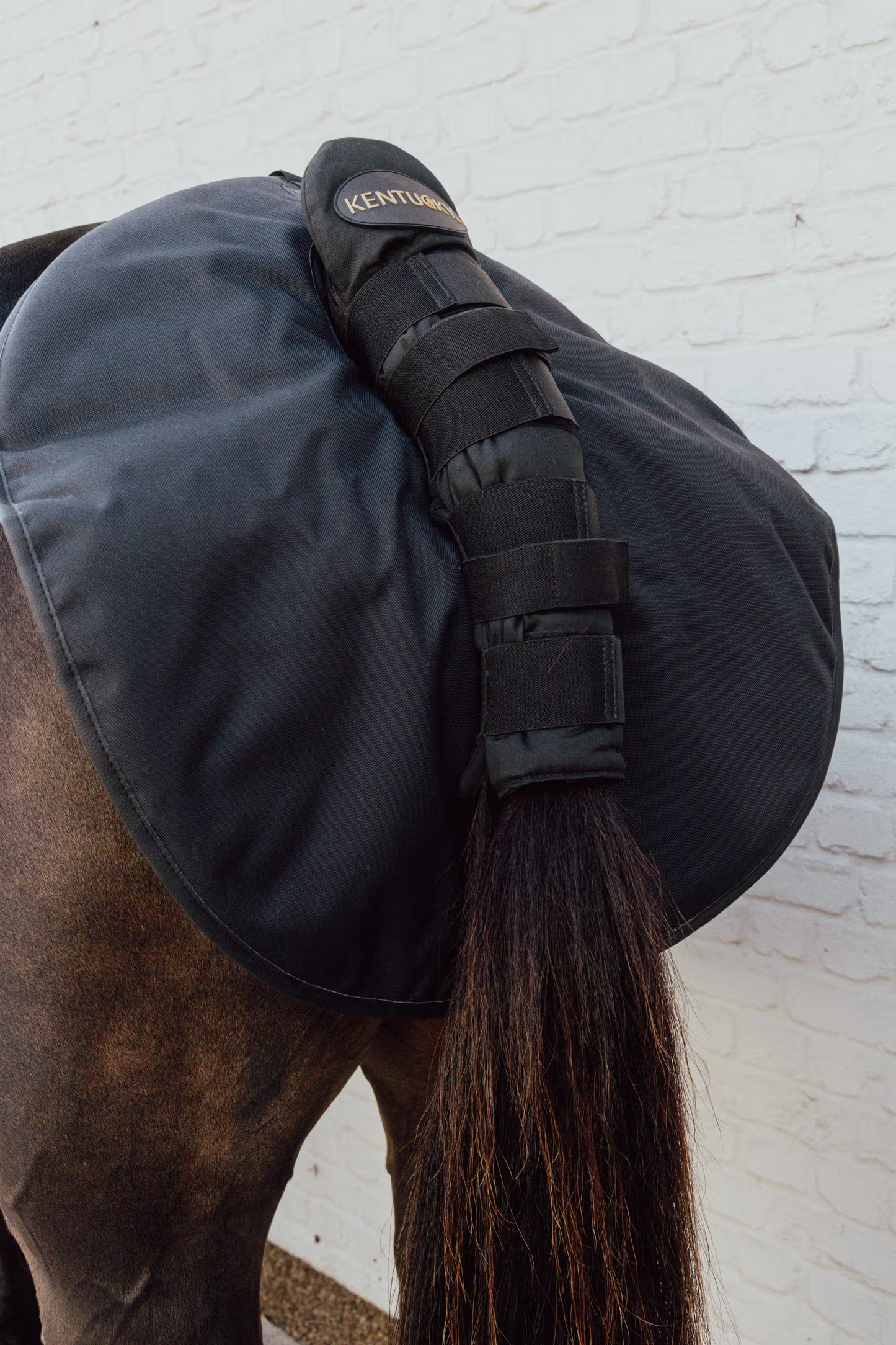 Kentucky Quarter Guard | Black