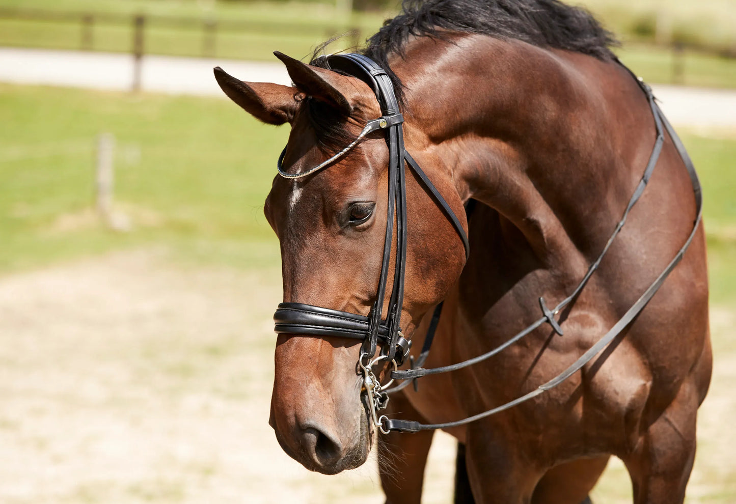 Finesse Outlet Cayenne Double Bridle | Black Leather with Silver Clincher Browband FLAT Leather