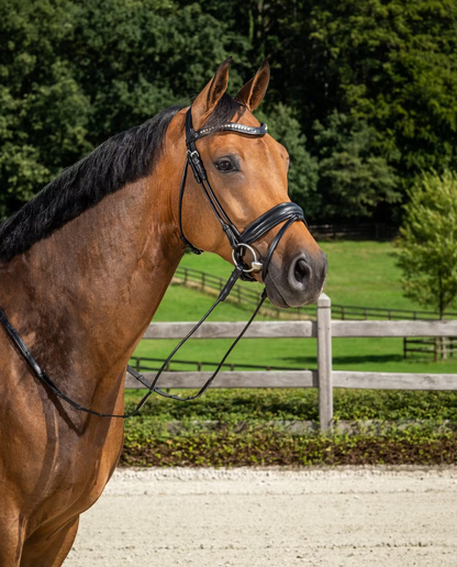 Dy'on Dressage Collection Rolled Leather Snaffle with Medium Noseband