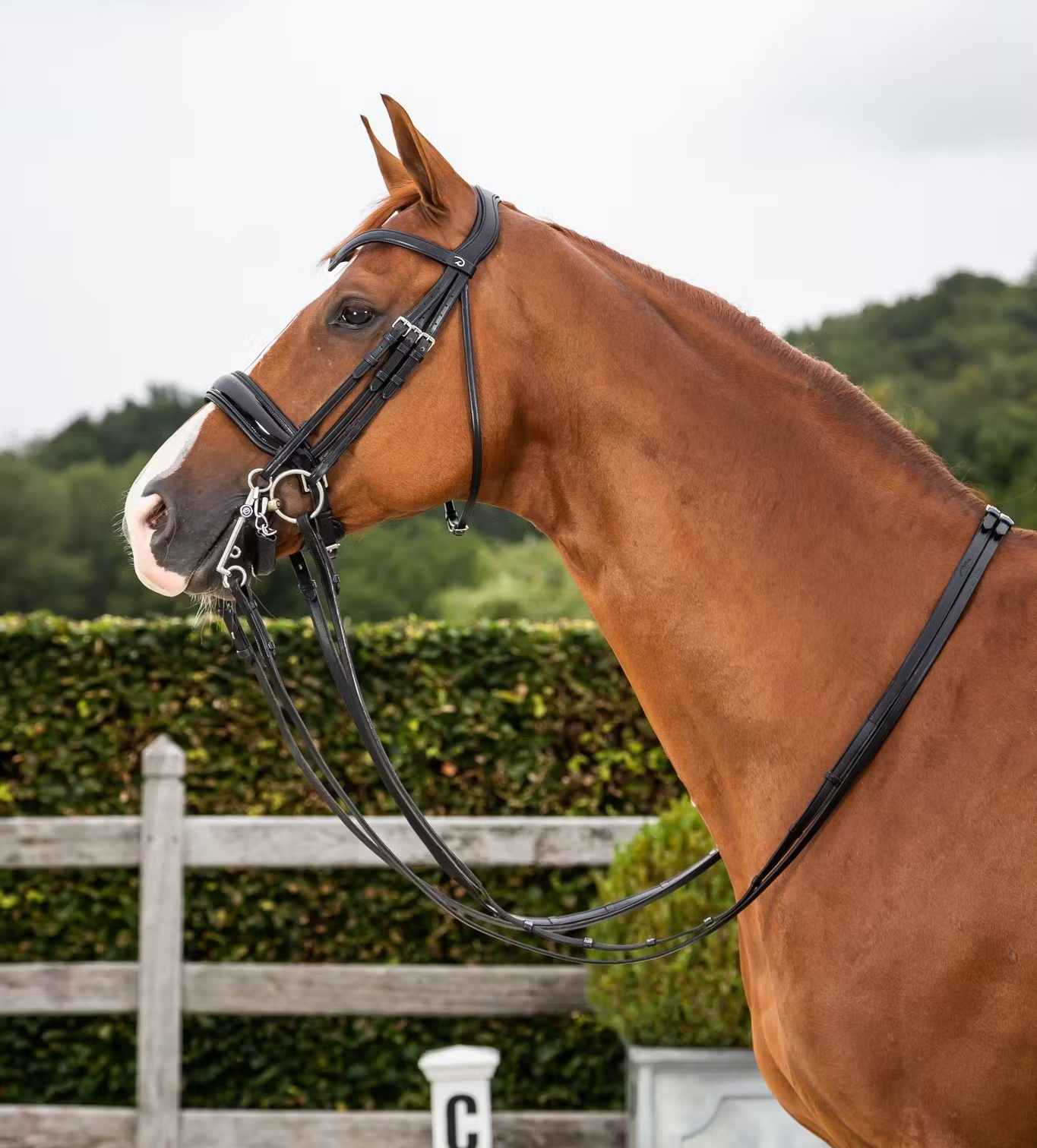 Dy'on Dressage Collection Flat Leather Double Bridle