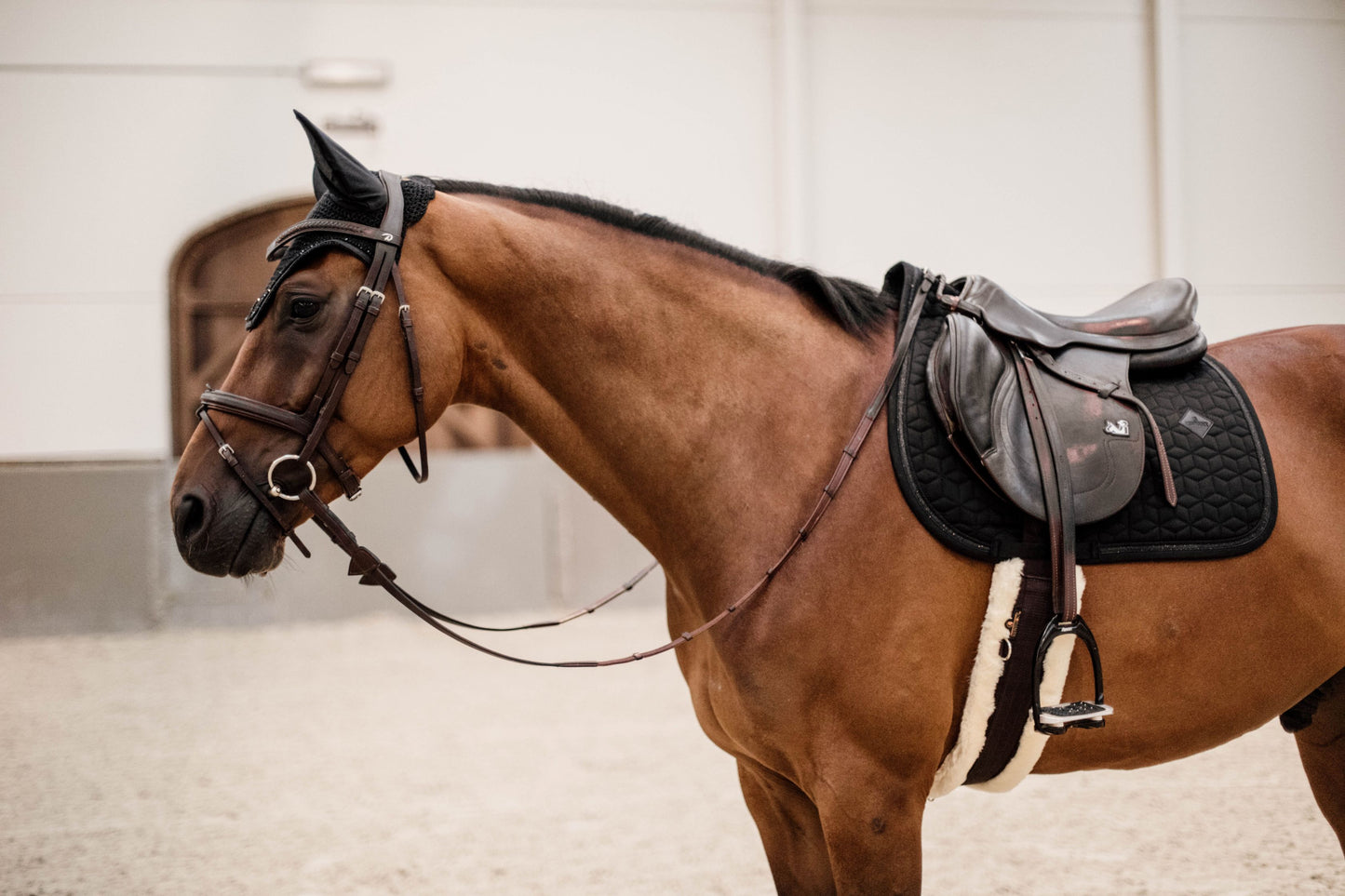 Kentucky Glitter Rope Saddle Pad Jump | Navy or Black