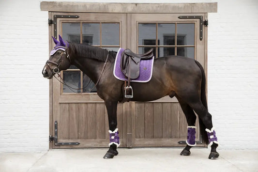 Kentucky Velvet Contrast Royal Purple SET: Full Dressage Saddle Pad + Boots (4) + Fly Veil