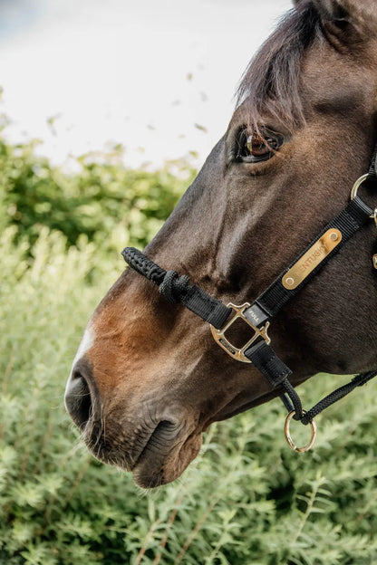 Kentucky Training / Control Halter Black