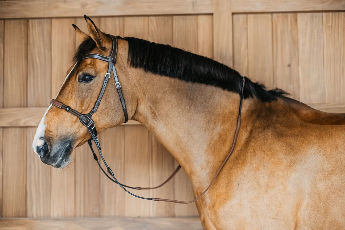 Working by Dy'on Bitless Bridle