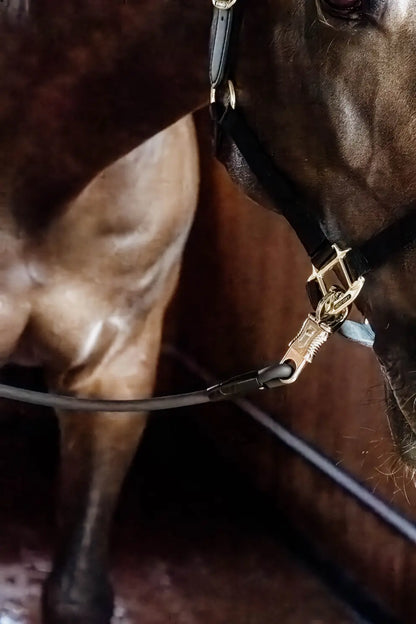 Kentucky Cross Tie, Stable, or Float Ties Leads Silicon - EACH