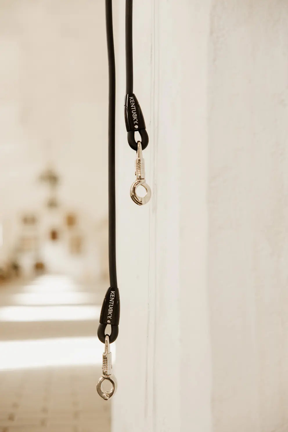 Kentucky Cross Tie, Stable, or Float Ties Leads Silicon - EACH