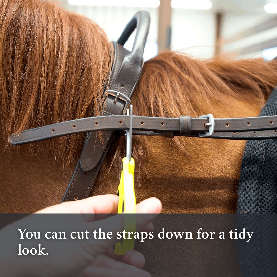 Correct Connect Double Neck Strap