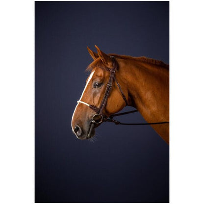 Dy'on New English Collection Rope Noseband Bridle