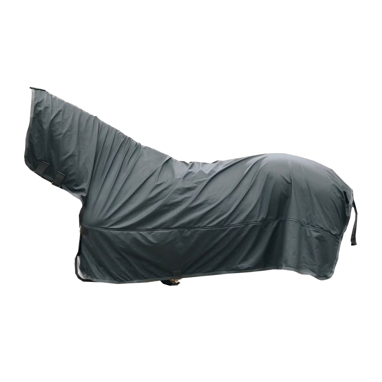 Kentucky Raincoat Hurricane