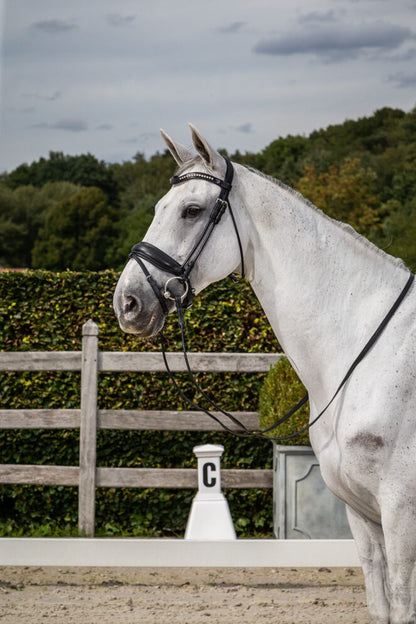 Dy'on Dressage Collection Rolled Leather Snaffle Bridle with Large Noseband