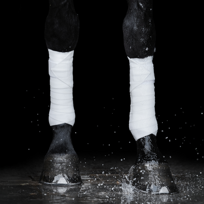 Incrediwear Equine Circulation Exercise Bandages | White