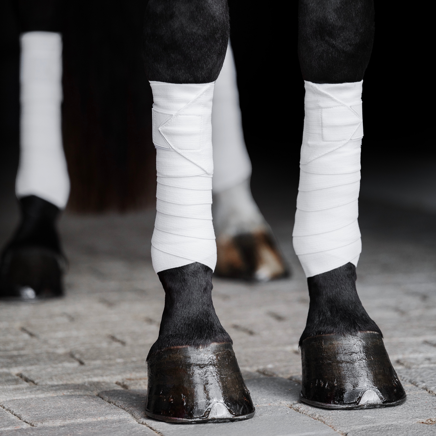 Incrediwear Equine Circulation Exercise Bandages | White