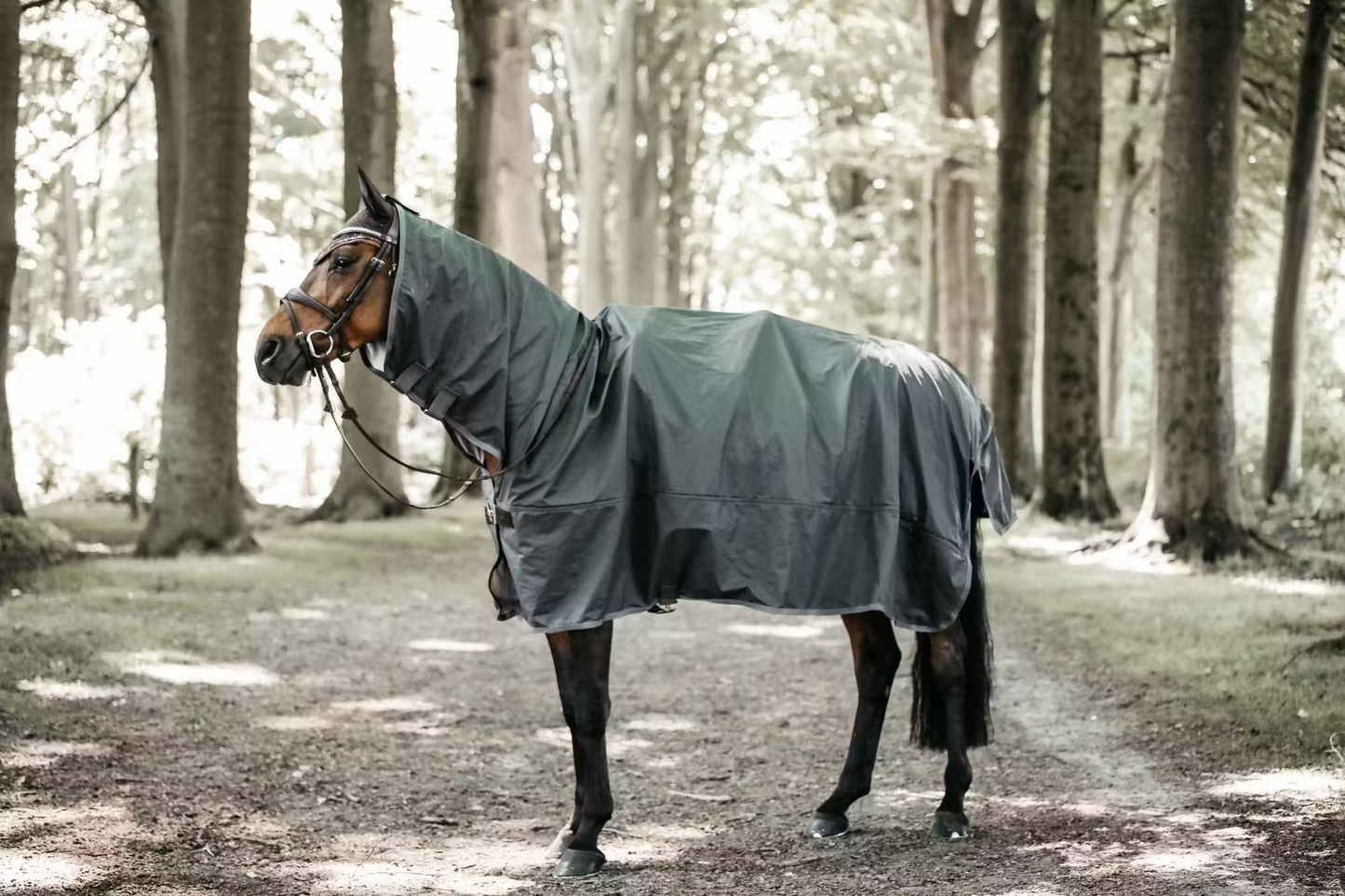Kentucky Raincoat Hurricane