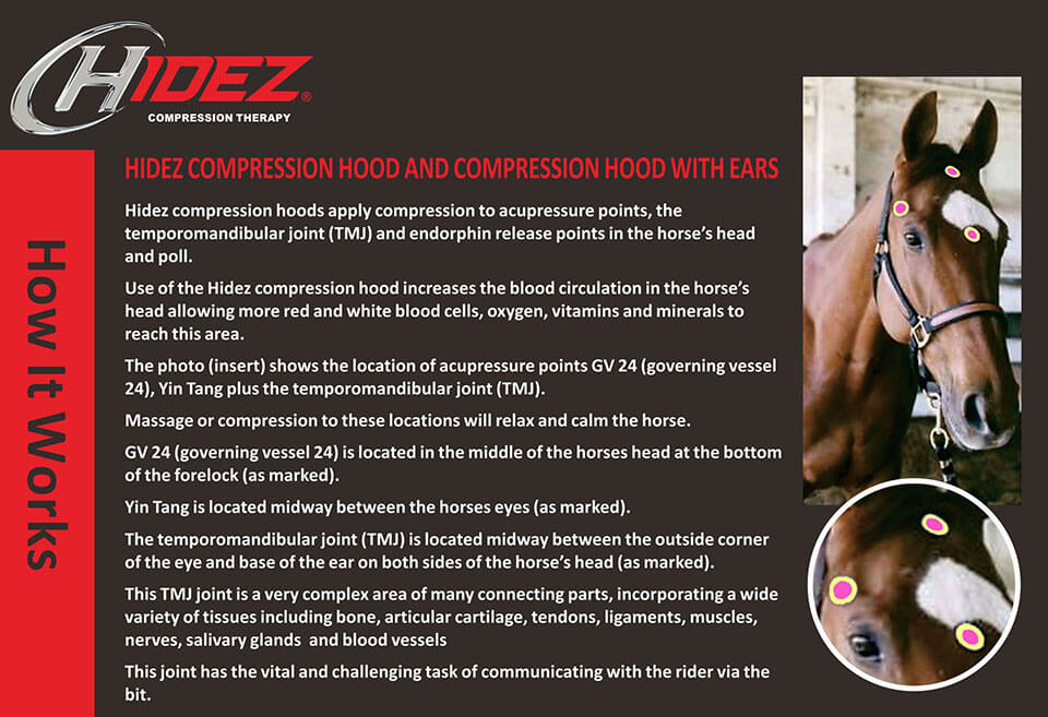 Hidez Compression Hood with Ears + Zip