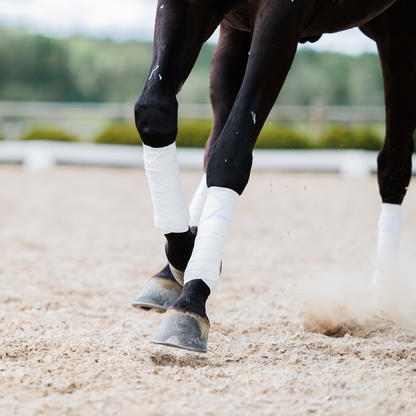 Incrediwear Equine Circulation Exercise Bandages | White