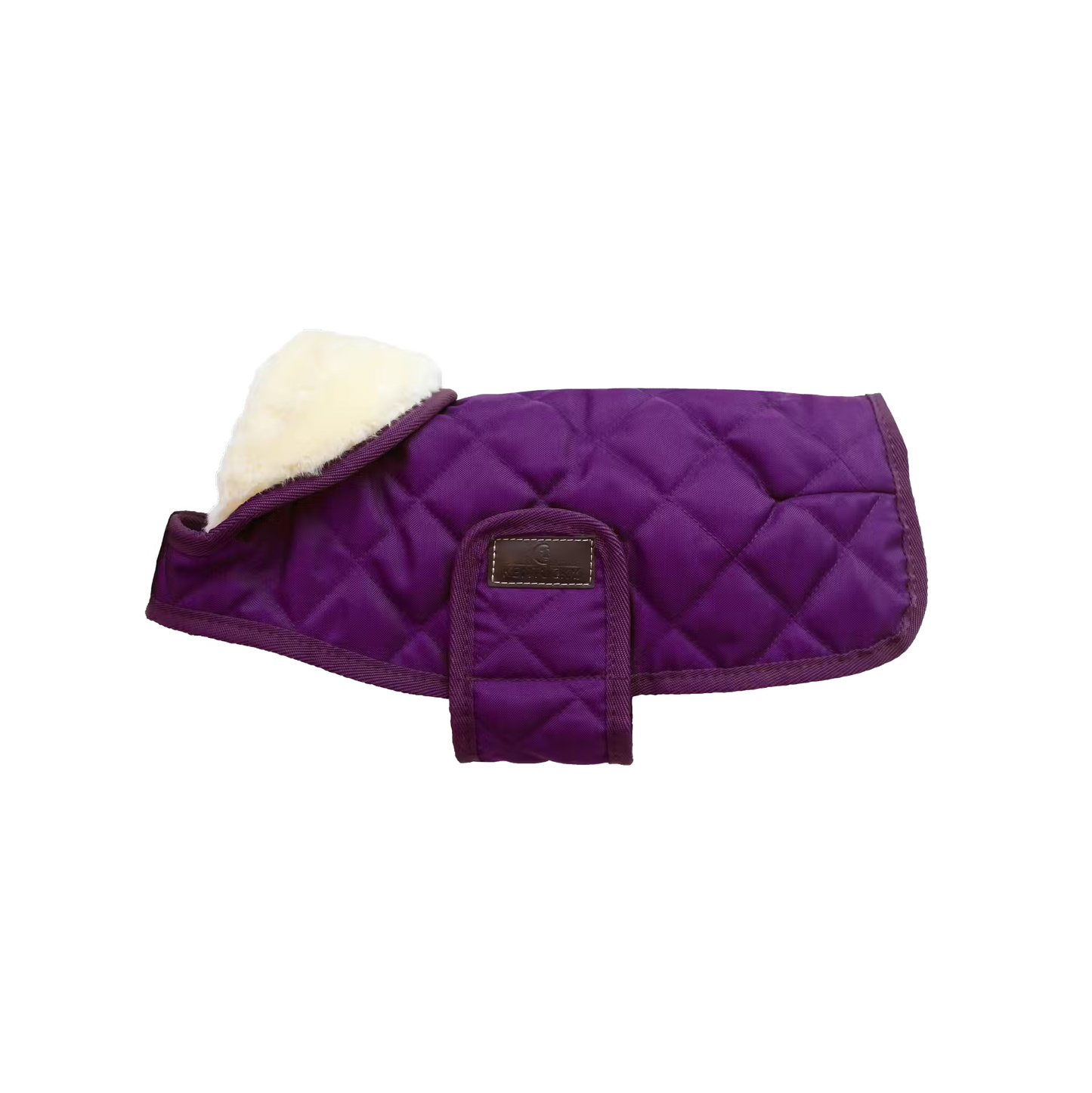 Kentucky Dog Rug Original Purple | Choose Size