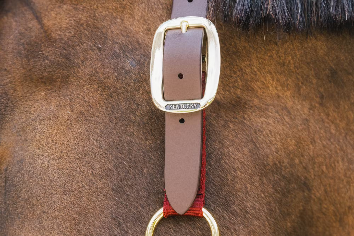 Kentucky Nylon Breakaway Halter | Choose Colour