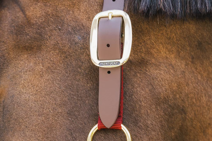 Kentucky Nylon Breakaway Halter | Choose Colour