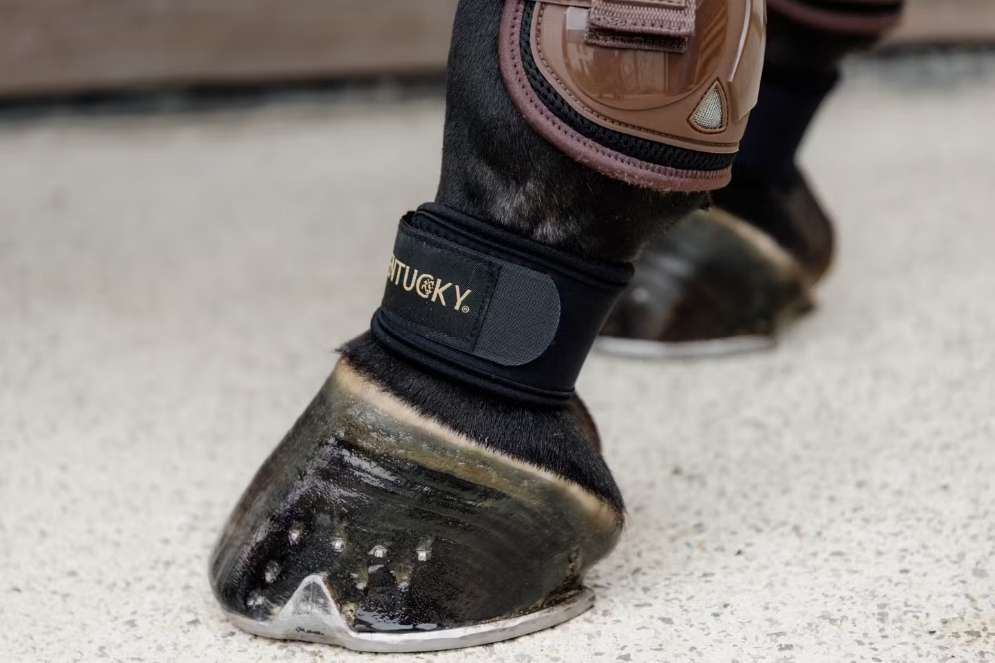 Kentucky Pastern Wrap