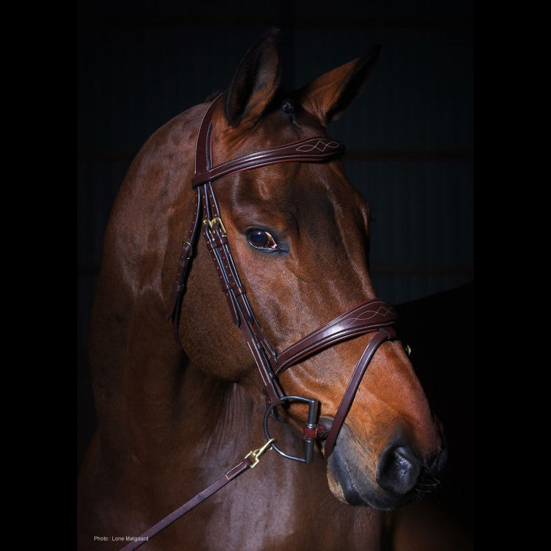 Dy'on D Collection Anatomic Flash Noseband Bridle
