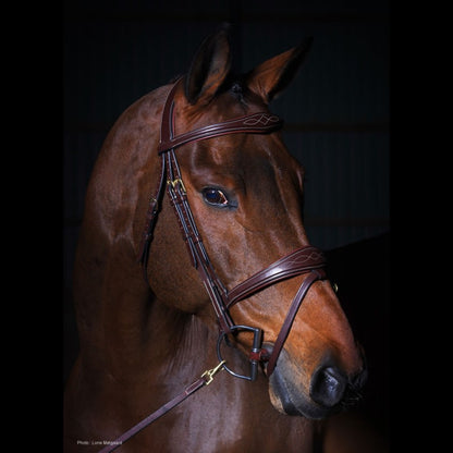 Dy'on D Collection Anatomic Flash Noseband Bridle