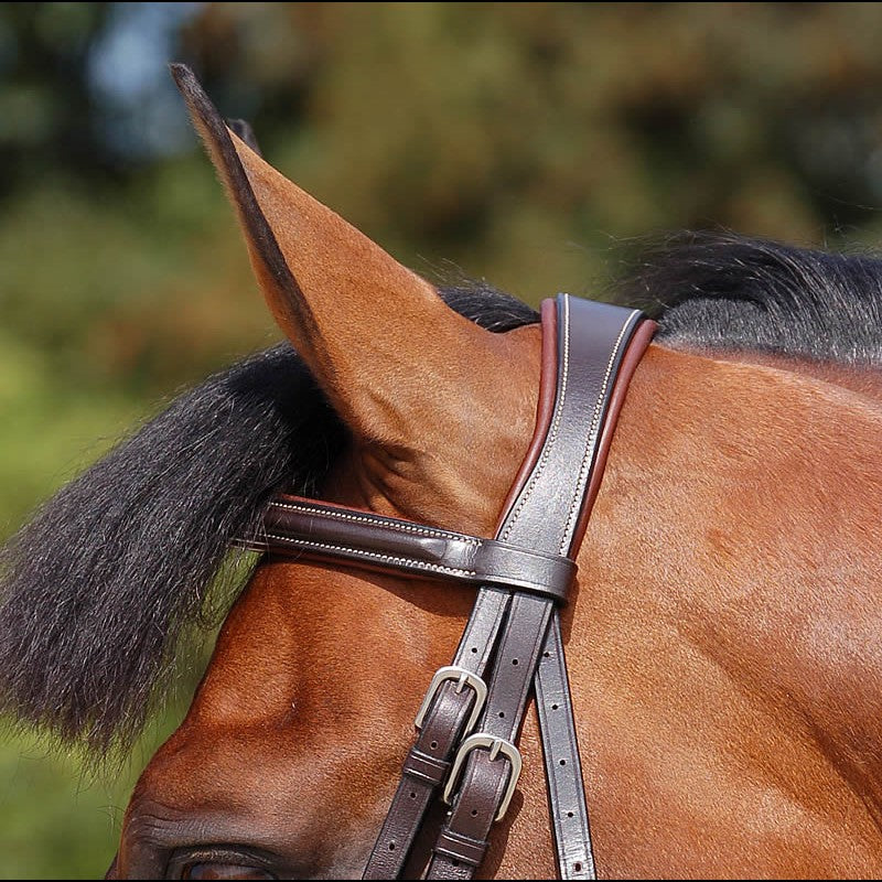 Dy'on Working Collection Classic Figure 8 Noseband Bridle
