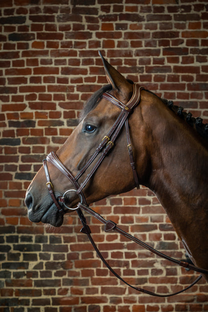 Dy'on D Collection Anatomic Flash Noseband Bridle