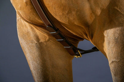 Dy'on D Collection Long Bridge Breastplate