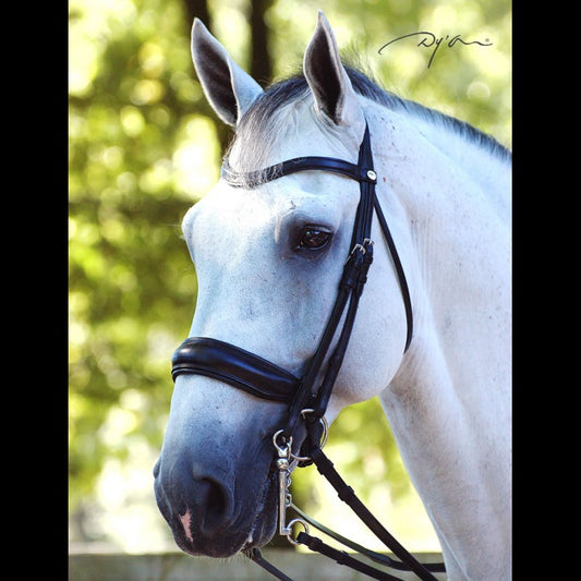 Dy'on Dressage Collection Double Bridle Flat Leather