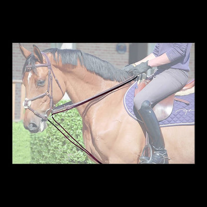 Dy'on Working Collection Leather/Rope Draw Reins