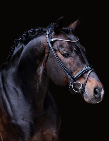 Finesse Himalaya Snaffle Bridle | Rolled Leather - Medium Width Noseband