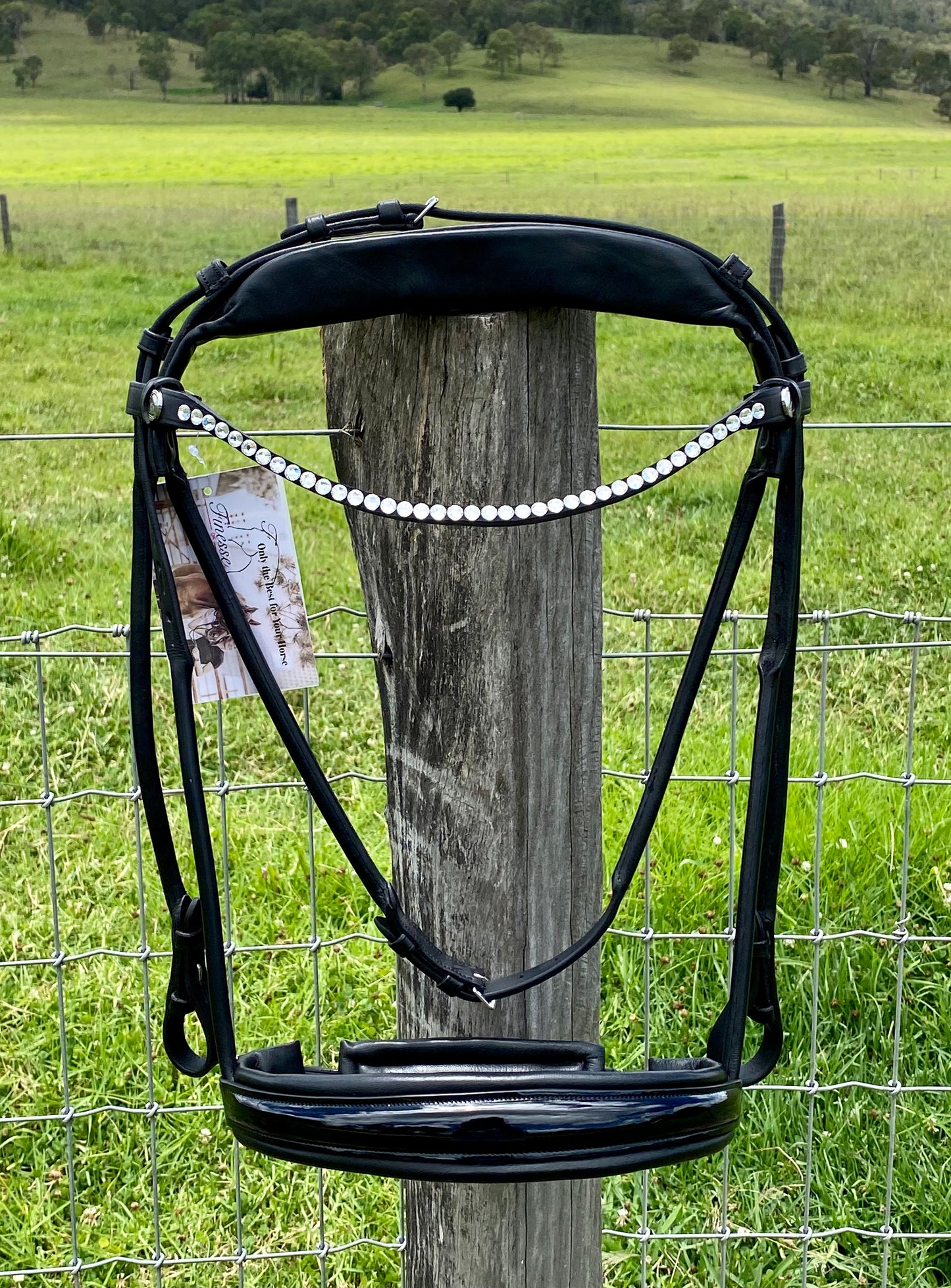 Finesse Outlet: Snaffle Bridle Cassidy | Rolled Black Leather with Silver Clincher Browband