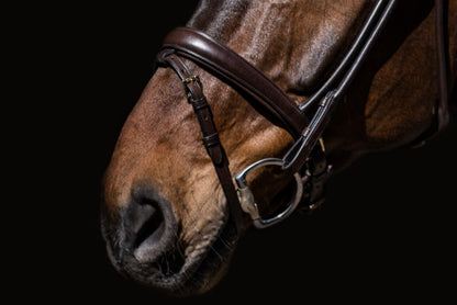 Finesse Himalaya Snaffle Bridle | Rolled Leather - Medium Width Noseband