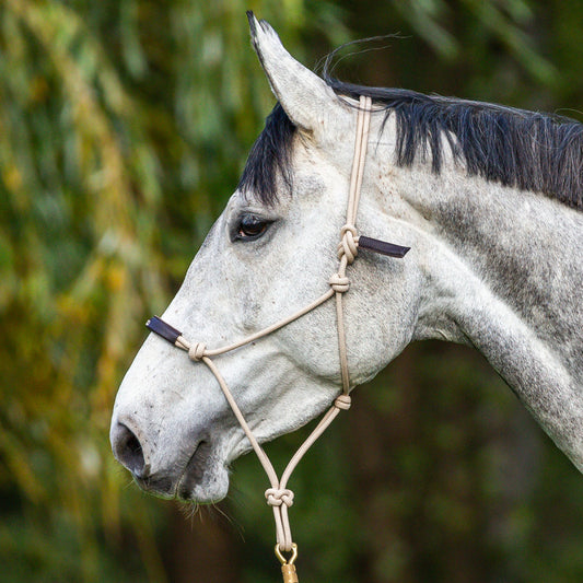 Dy'on La Cense Rope Training Halter