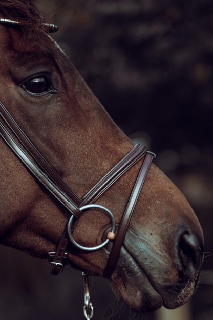 Finesse Snaffle Bridle | Zorro Jumping Style | Brown Leather with Silver Clincher Browband