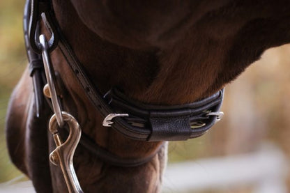 Finesse Snaffle Bridle | Zorro Jumping Style | Brown Leather with Silver Clincher Browband